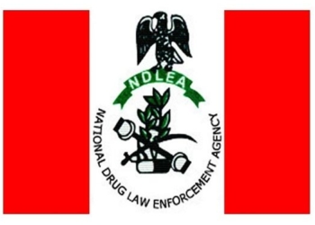 NDLEA Seizes Cocaine Worth Over N30b At Lagos Airport
