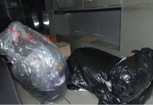 Woman Arrested After Landlady Finds Seven Aborted Foetuses In Her Room
