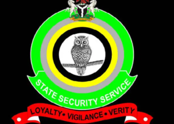 Dss1.webp
