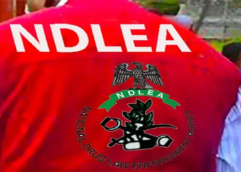 Ndlea 1.webp
