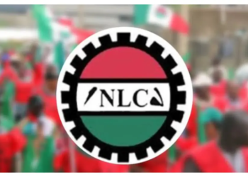 Nlc 1000x600.webp