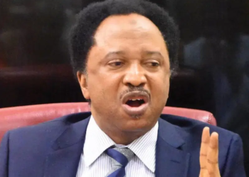 Shehusani.webp