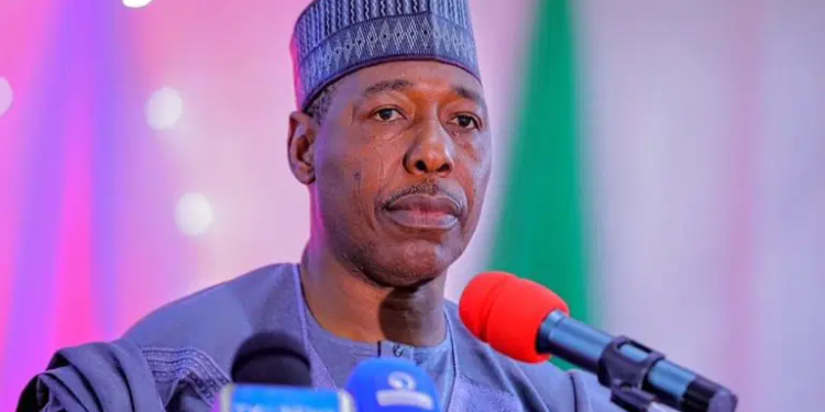 Zulum 768x516.webp