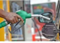 Fuel.webp
